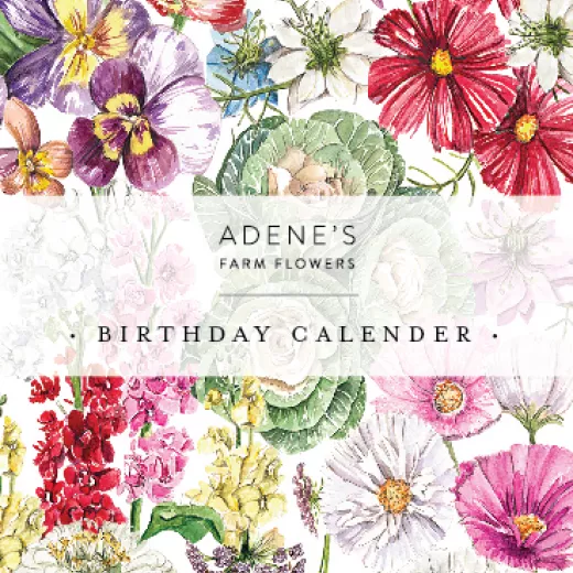 Birthday Calendar