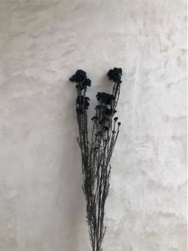 Rice Flower Black