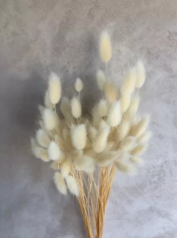 Bleached Bunny Tail