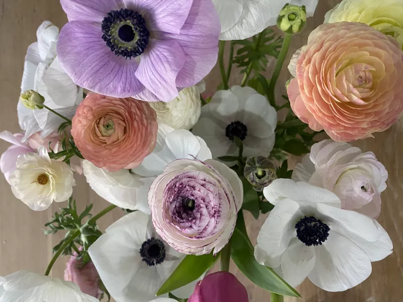 Adene's Ranunculus & Anemone Mix