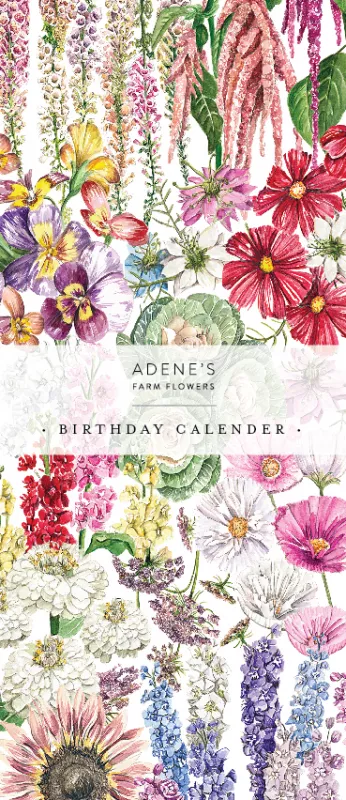 Birthday Calendar