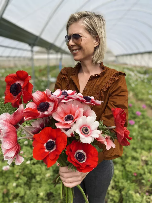 Anemone Red and White Stripes 