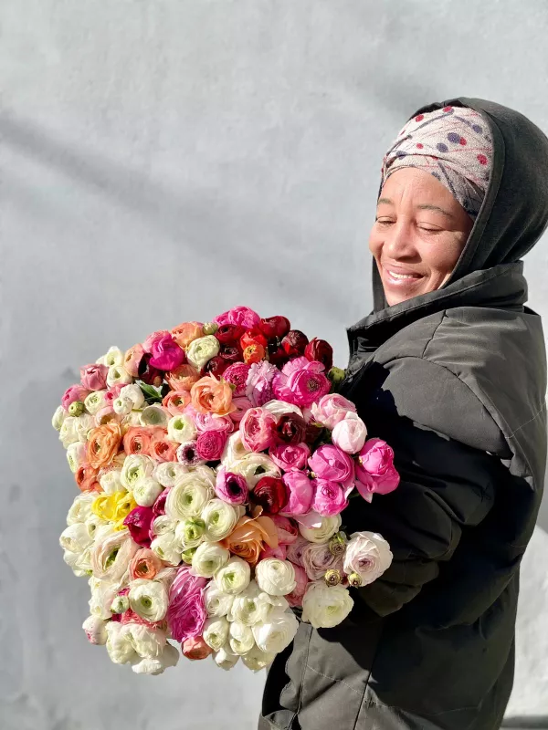 Ranunculus - Mixed Bunch